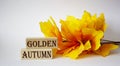 The inscription golden autumn is collected from wooden blocks next