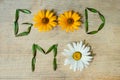 Inscription good morning, laid out out of wildflowers on a wooden background