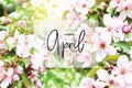 Inscription Happy April. Floral natural background spring time season.
