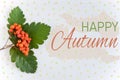 Inscription happy autumn. Banner with rowan berries and leaves on a light background. Autumn banner with rowan. Autumn banner Royalty Free Stock Photo