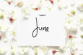 Inscription Happy June. Summer fresh flowers. Top view.