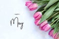 Inscription Happy May. Tulip flower. Spring background Royalty Free Stock Photo