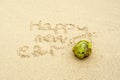 Inscription `HAPPY NEW YEAR` and coconat Royalty Free Stock Photo