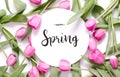 Inscription Happy Spring. Tulip flower. Royalty Free Stock Photo