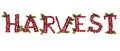 Inscription Harvest Cherry Berry Isolate Text Banner