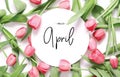 Inscription Hello April. Tulip flower. Royalty Free Stock Photo