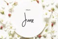 Inscription Hello June. Summer fresh flowers.