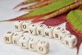 inscription hello november on a background of colorful autumn leaves Royalty Free Stock Photo