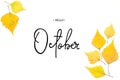 Inscription Hello October. Pattern of yellow autumn leaves isolated on white.