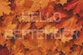 Inscription Hello September on the background of autumn maple leaves Royalty Free Stock Photo