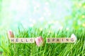 Inscription Hello spring on the background of green summer grass with dew Royalty Free Stock Photo