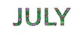 Inscription JULY of floral elements. The name of the summer month to celebrate the July events. Festive calendar. Colorful header