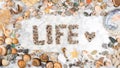 Inscription life with stones and shells lying on a marble background, composition of sea stones and seashells, word life written b