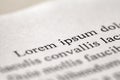 Inscription lorem ipsum template is printed in black on white paper close-up, selective focus