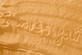 Inscription Miss You on wet golden beach sand in sunset light