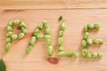 The inscription pale with hop cones on wooden background. Ingredient in beer industry. Craft beer brewing. For ale or lager