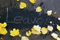 The inscription on the pavement with white chalk the word leaves and yellow leaves around