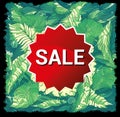 Inscription sale on a summer background with monstera leaves, website background, sale