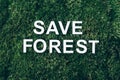 Inscription Save Forest on moss, green grass background. Top view. Copy space. Banner. Biophilia concept