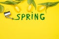 The inscription Spring from decorative green grass on a yellow background with a watering can and flowers tulips Royalty Free Stock Photo