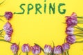 The inscription Spring from decorative green grass on a yellow background with a watering can and flowers tulips Royalty Free Stock Photo