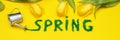 The inscription Spring from decorative green grass on a yellow background with a watering can and flowers tulips. banner Royalty Free Stock Photo