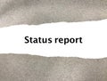 Inscription Status report into the white paper Royalty Free Stock Photo