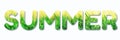 Inscription Summer made with fresh green spring grass with sun leaks effect, copy space. Text for your design. Abstract nature Royalty Free Stock Photo