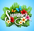 Inscription summer. Vector illustration with