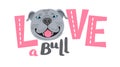 The inscription on the t-shirt of the owner of the dog Pitbull. Word LOVE with a American Staffordshire Pit Bull Terrier