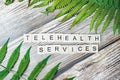 Inscription telehealth services is made of small wooden blocks printed on a wooden background with a green fresh leaf of greenery