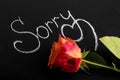 Inscription in white chalk on a black board, sorry and a rose flower. concept of an apology, from the heart to ask for forgiveness Royalty Free Stock Photo