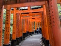 Inscriptions on Torii in Fushimi Inari Taisha shrine