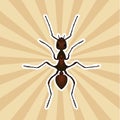 Insect anatomy. Sticker Formica exsecta. Sketch of ant. Ant Design for coloring book. hand-drawn ant. Vector