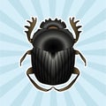 Insect anatomy. Sticker Geotrupidae dor-beetle . Sketch of dor-beetle. dor-beetle. dor-beetle -drawn scarab, dor-beetle Royalty Free Stock Photo