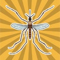 Insect anatomy. Sticker realistic mosquito. Culex pipiens Mosquito silhouette. mosquito Design for coloring book.