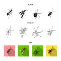 An insect arthropod, an osa, a spider, a cockroach. Insects set collection icons in black,flat,outline style vector