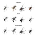 An insect arthropod, an osa, a spider, a cockroach. Insects set collection icons in cartoon,black,monochrome style