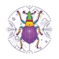 Insect Beetle Bug Design Elements with Line Graphic