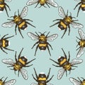 Insect beetle seamless pattern, background with engraved animal hand drawn style