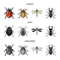 Insect, bug, beetle, paw .Insects set collection icons in cartoon,black,monochrome style vector symbol stock Royalty Free Stock Photo