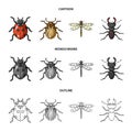 Insect, bug, beetle, paw .Insects set collection icons in cartoon,outline,monochrome style vector symbol stock Royalty Free Stock Photo