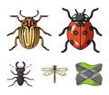 Insect, bug, beetle, paw .Insects set collection icons in cartoon style vector symbol stock illustration web. Royalty Free Stock Photo