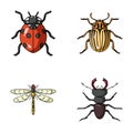 Insect, bug, beetle, paw . Insects set collection icons in cartoon style vector symbol stock illustration web. Royalty Free Stock Photo