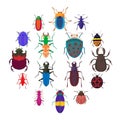 Insect bug icons set, cartoon style Royalty Free Stock Photo