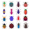 Insect bug icons set, cartoon style Royalty Free Stock Photo