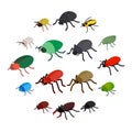 Insect bug icons set, isometric 3d style Royalty Free Stock Photo