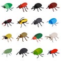 Insect bug icons set, isometric 3d style Royalty Free Stock Photo