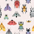 Insect butterfly and bugs seamless pattern, summer patel illustration Royalty Free Stock Photo