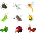 Insect cartoon collection set